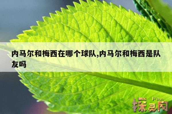 内马尔和梅西在哪个球队,内马尔和梅西是队友吗