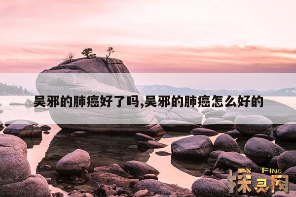 吴邪的肺癌好了吗,吴邪的肺癌怎么好的