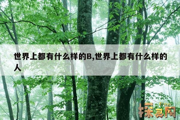 世界上都有什么样的B,世界上都有什么样的人