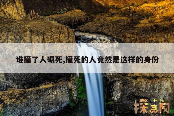 谁撞了人碾死,撞死的人竟然是这样的身份