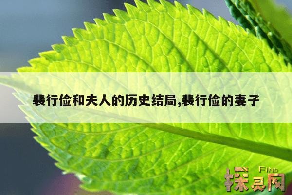 裴行俭和夫人的历史结局,裴行俭的妻子