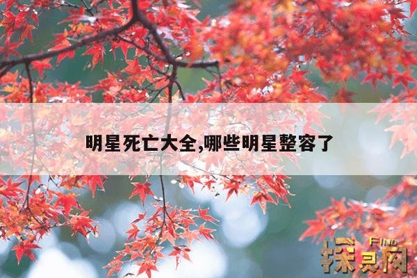 明星死亡大全,哪些明星整容了