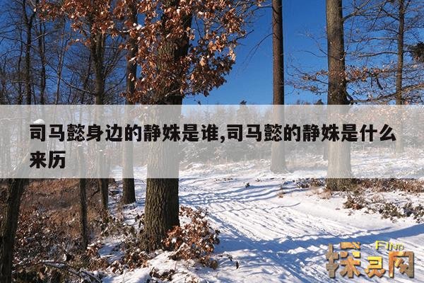 司马懿身边的静姝是谁,司马懿的静姝是什么来历