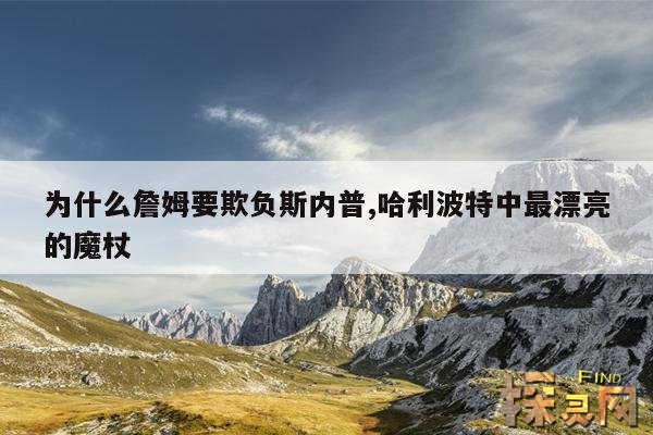 为什么詹姆要欺负斯内普,哈利波特中最漂亮的魔杖