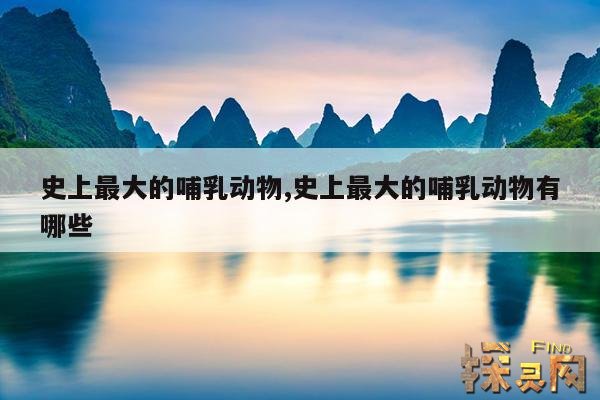 史上最大的哺乳动物,史上最大的哺乳动物有哪些