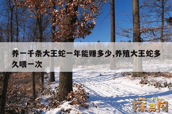 养一千条大王蛇一年能赚多少,养殖大王蛇多久喂一次