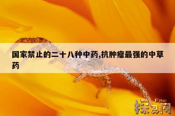 国家禁止的二十八种中药,抗肿瘤最强的中草药