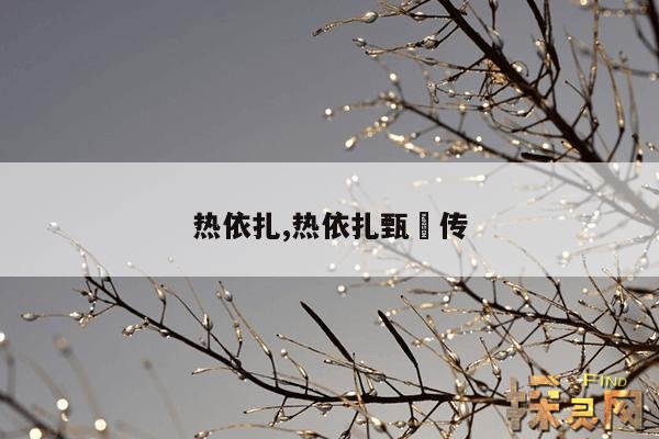 热依扎,热依扎甄嬛传