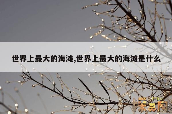 世界上最大的海滩,世界上最大的海滩是什么