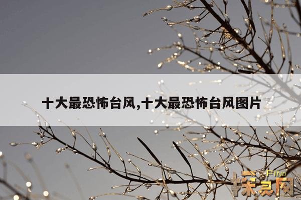 十大最恐怖台风,十大最恐怖台风图片
