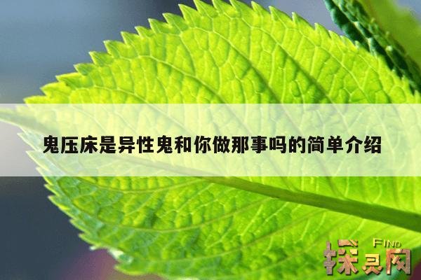 鬼压床是异性鬼和你做那事吗的简单介绍