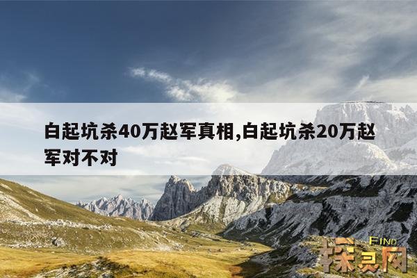 白起坑杀40万赵军真相,白起坑杀20万赵军对不对