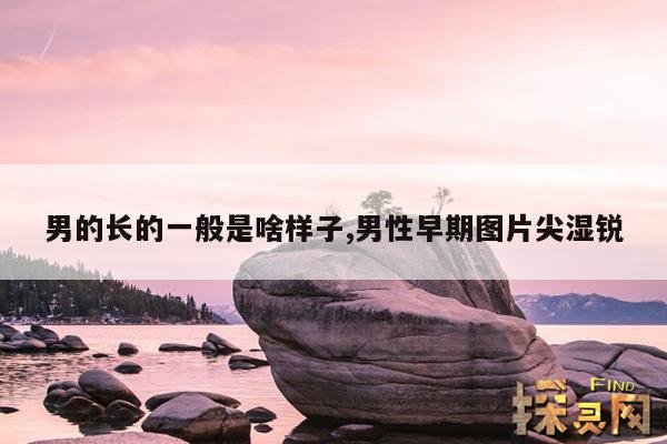 男的长的一般是啥样子,男性早期图片尖湿锐