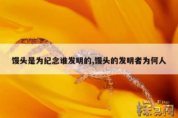 馒头是为纪念谁发明的,馒头的发明者为何人