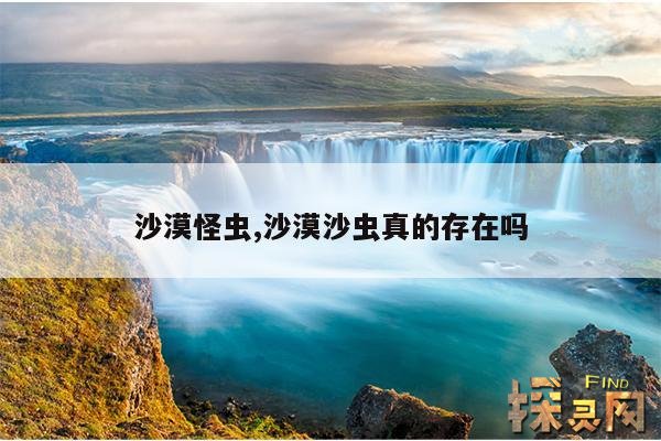 沙漠怪虫,沙漠沙虫真的存在吗