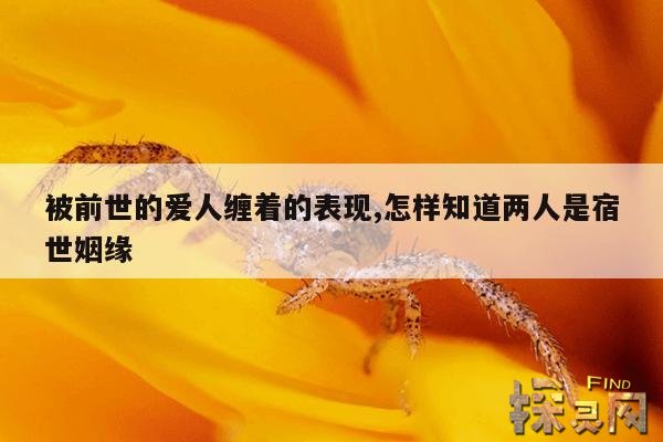 被前世的爱人缠着的表现,怎样知道两人是宿世姻缘