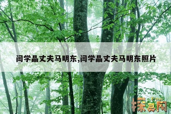闫学晶丈夫马明东,闫学晶丈夫马明东照片