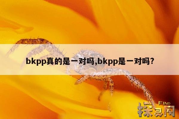 bkpp真的是一对吗,bkpp是一对吗?