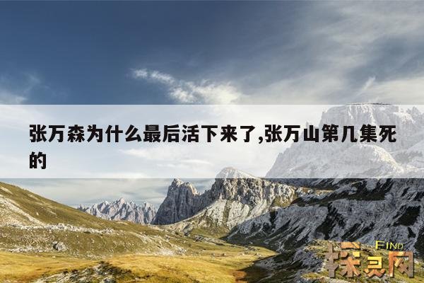张万森为什么最后活下来了,张万山第几集死的