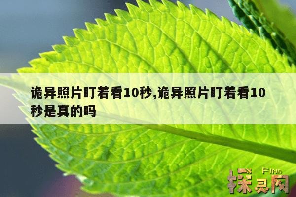 诡异照片盯着看10秒,诡异照片盯着看10秒是真的吗