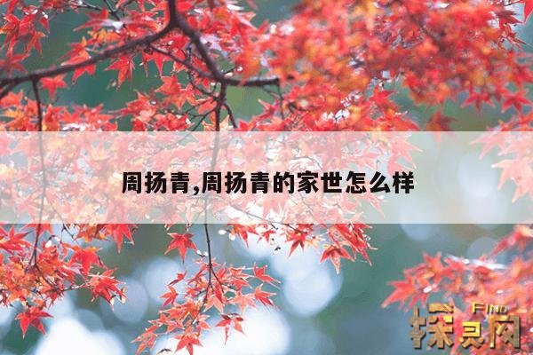 周扬青,周扬青的家世怎么样