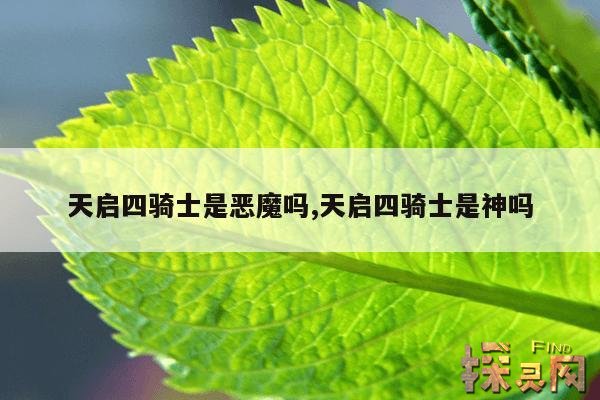 天启四骑士是恶魔吗,天启四骑士是神吗
