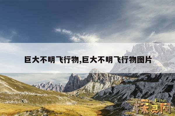 巨大不明飞行物,巨大不明飞行物图片