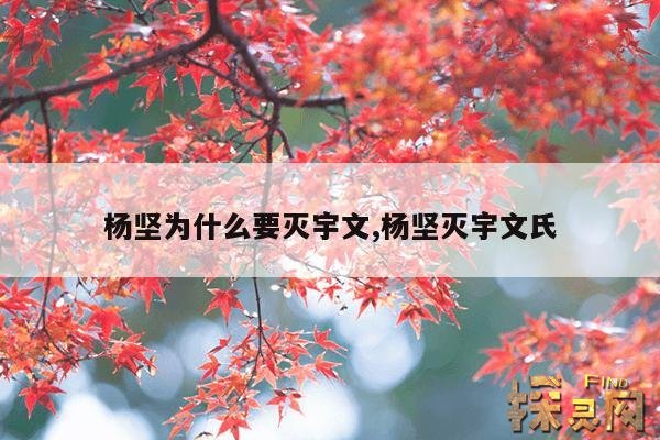 杨坚为什么要灭宇文,杨坚灭宇文氏