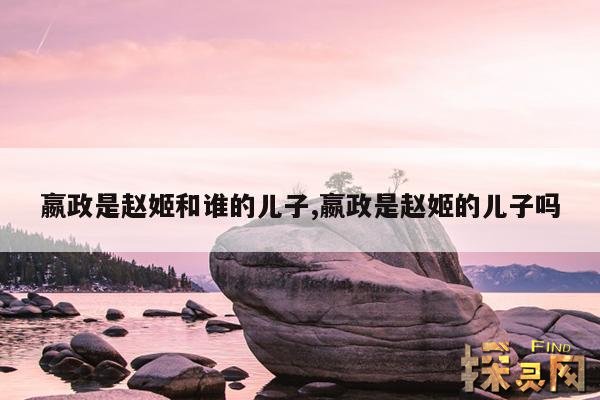 嬴政是赵姬和谁的儿子,嬴政是赵姬的儿子吗