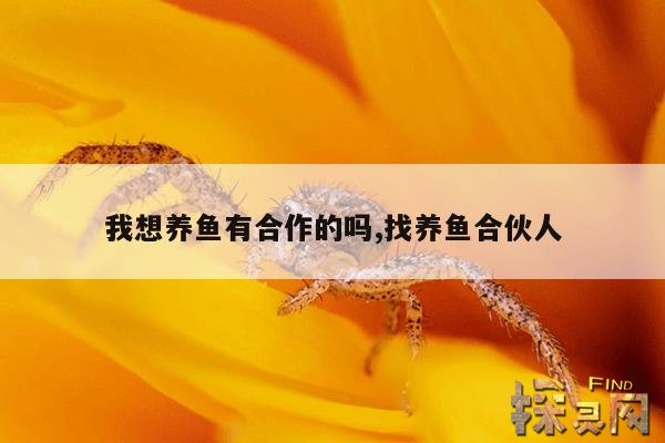 我想养鱼有合作的吗,找养鱼合伙人
