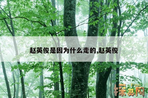 赵英俊是因为什么走的,赵英俊