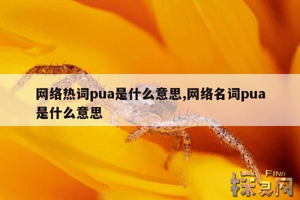 网络热词pua是什么意思,网络名词pua是什么意思