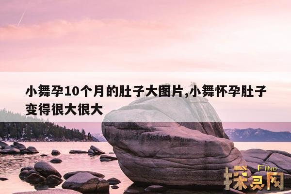小舞孕10个月的肚子大图片,小舞怀孕肚子变得很大很大