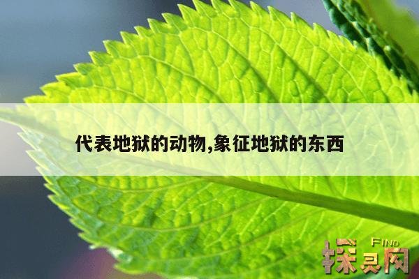 代表地狱的动物,象征地狱的东西