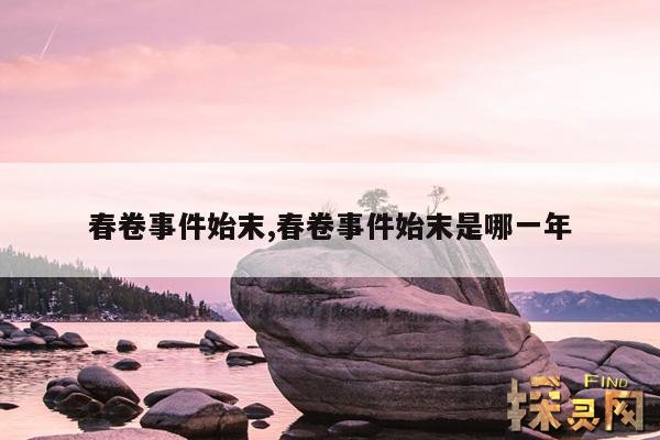 春卷事件始末,春卷事件始末是哪一年