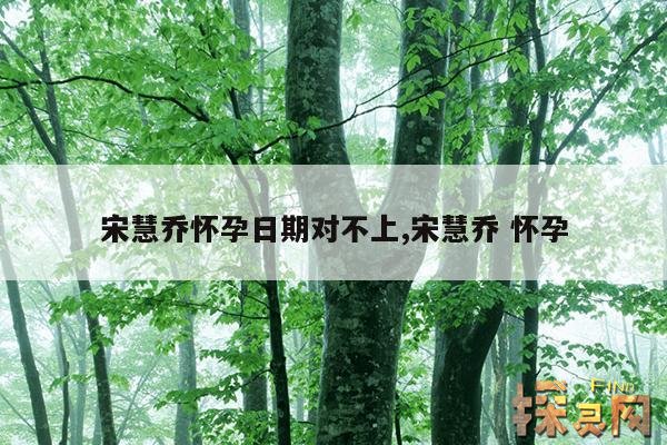 宋慧乔怀孕日期对不上,宋慧乔 怀孕