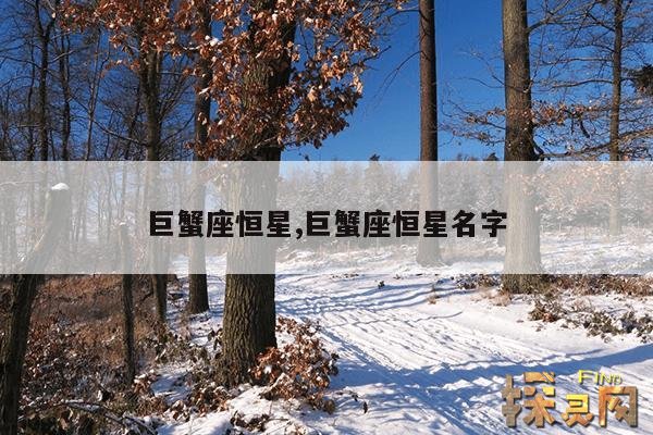 巨蟹座恒星,巨蟹座恒星名字
