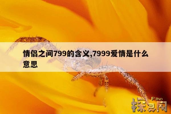 情侣之间799的含义,7999爱情是什么意思