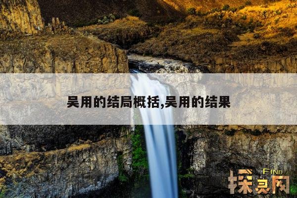 吴用的结局概括,吴用的结果