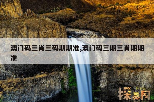 澳门码三肖三码期期准,澳门码三期三肖期期准