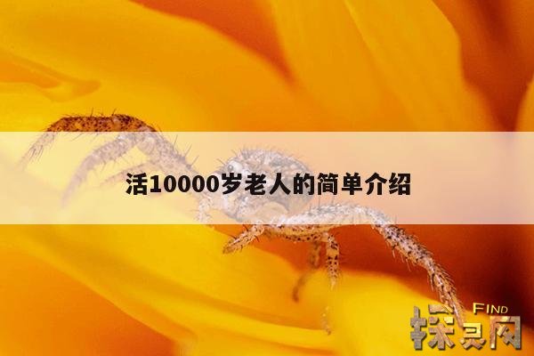 活10000岁老人的简单介绍