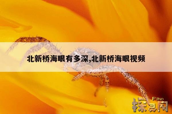 北新桥海眼有多深,北新桥海眼视频