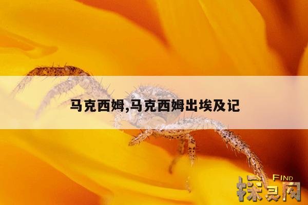 马克西姆,马克西姆出埃及记