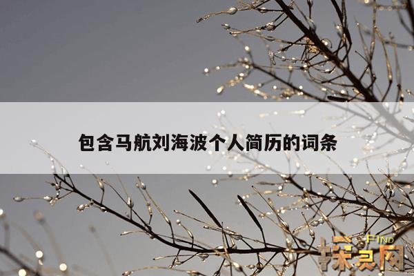 包含马航刘海波个人简历的词条