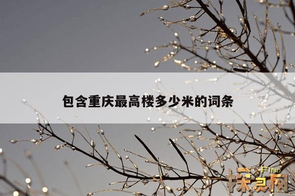 包含重庆最高楼多少米的词条